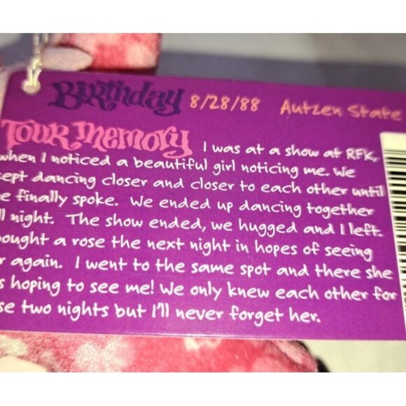 Foolish Heart Bear Grateful Dead Plush Doll Beanie Pink Hearts Music Gift Tour - Picture 4 of 4